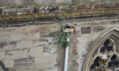 Maintenance of Church Buildings