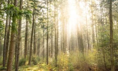 Looking after yourself