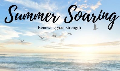 Open Summer Soaring online services